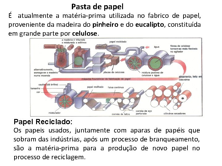 Pasta de papel É atualmente a matéria-prima utilizada no fabrico de papel, proveniente da