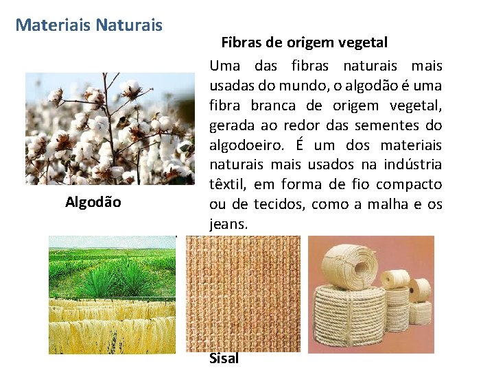 Materiais Naturais Algodão Fibras de origem vegetal Uma das fibras naturais mais usadas do