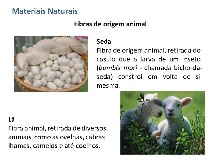 Materiais Naturais Fibras de origem animal Seda Fibra de origem animal, retirada do casulo