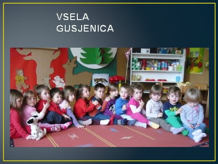 VSELA GUSJENICA 