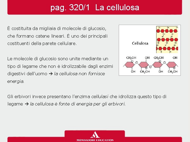 pag. 320/1 La cellulosa È costituita da migliaia di molecole di glucosio, che formano pag. 320/1 La cellulosa È costituita da migliaia di molecole di glucosio, che formano