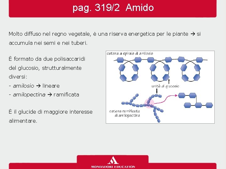 pag. 319/2 Amido Molto diffuso nel regno vegetale, è una riserva energetica per le pag. 319/2 Amido Molto diffuso nel regno vegetale, è una riserva energetica per le