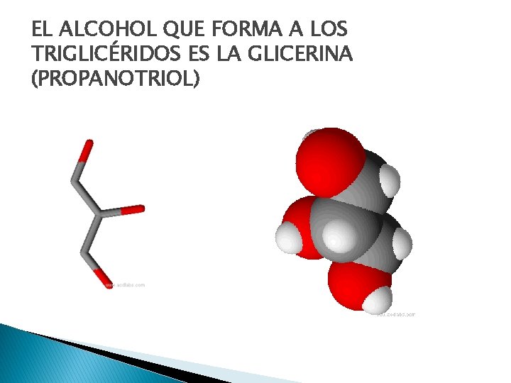 EL ALCOHOL QUE FORMA A LOS TRIGLICÉRIDOS ES LA GLICERINA (PROPANOTRIOL) 