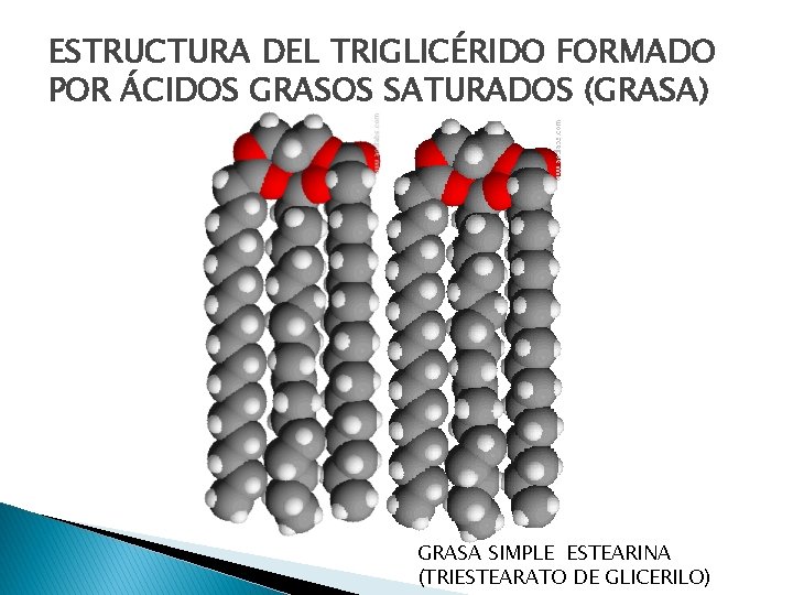 ESTRUCTURA DEL TRIGLICÉRIDO FORMADO POR ÁCIDOS GRASOS SATURADOS (GRASA) GRASA SIMPLE ESTEARINA (TRIESTEARATO DE