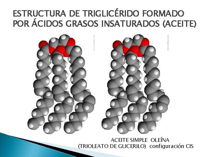 ESTRUCTURA DE TRIGLICÉRIDO FORMADO POR ÁCIDOS GRASOS INSATURADOS (ACEITE) ACEITE SIMPLE OLEÍNA (TRIOLEATO DE