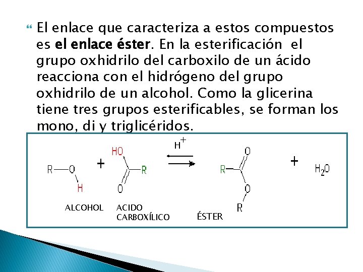  El enlace que caracteriza a estos compuestos es el enlace éster. En la