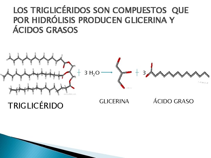 LOS TRIGLICÉRIDOS SON COMPUESTOS QUE POR HIDRÓLISIS PRODUCEN GLICERINA Y ÁCIDOS GRASOS 3 H