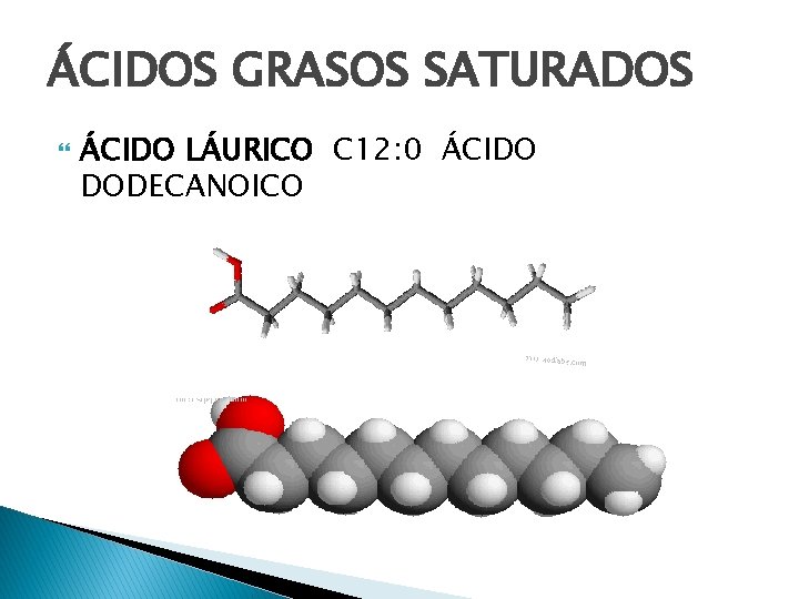 ÁCIDOS GRASOS SATURADOS ÁCIDO LÁURICO C 12: 0 ÁCIDO DODECANOICO 