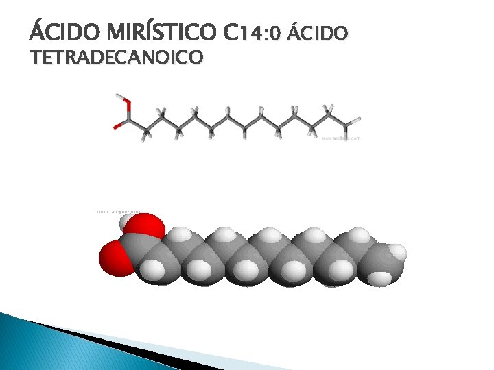 ÁCIDO MIRÍSTICO C 14: 0 ÁCIDO TETRADECANOICO 