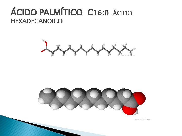 ÁCIDO PALMÍTICO C 16: 0 HEXADECANOICO ÁCIDO 