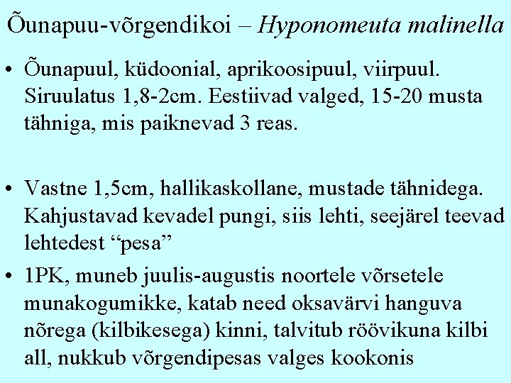 Õunapuu-võrgendikoi – Hyponomeuta malinella • Õunapuul, küdoonial, aprikoosipuul, viirpuul. Siruulatus 1, 8 -2 cm.