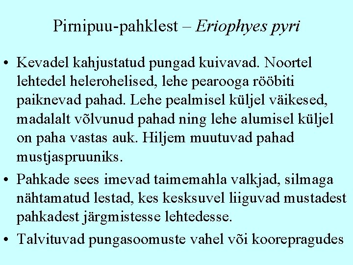 Pirnipuu-pahklest – Eriophyes pyri • Kevadel kahjustatud pungad kuivavad. Noortel lehtedel helerohelised, lehe pearooga