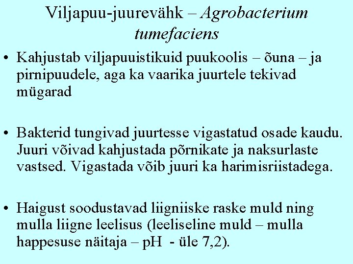 Viljapuu-juurevähk – Agrobacterium tumefaciens • Kahjustab viljapuuistikuid puukoolis – õuna – ja pirnipuudele, aga