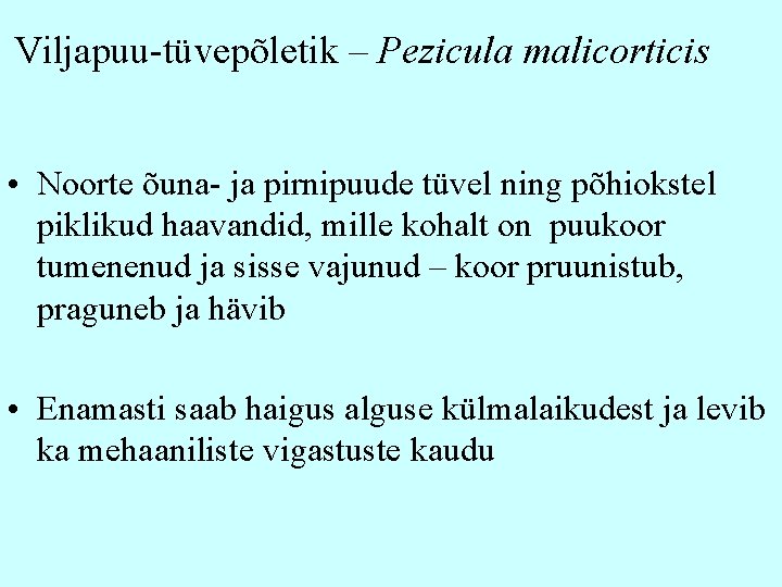 Viljapuu-tüvepõletik – Pezicula malicorticis • Noorte õuna- ja pirnipuude tüvel ning põhiokstel piklikud haavandid,