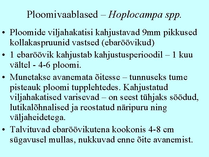 Ploomivaablased – Hoplocampa spp. • Ploomide viljahakatisi kahjustavad 9 mm pikkused kollakaspruunid vastsed (ebaröövikud)