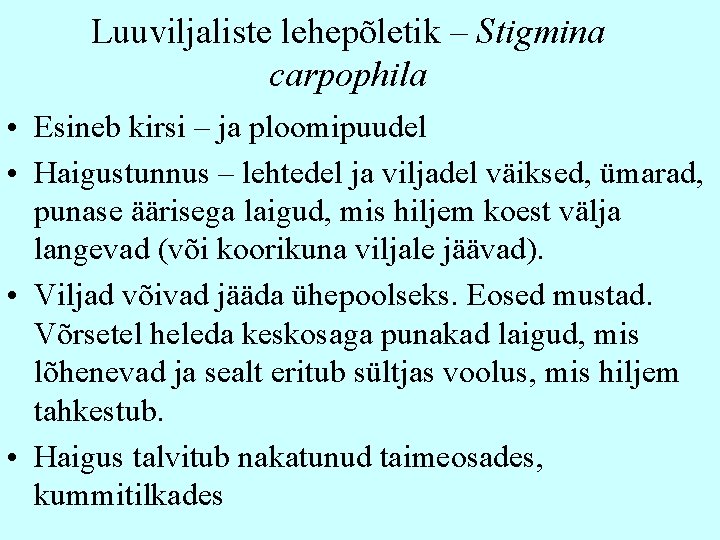 Luuviljaliste lehepõletik – Stigmina carpophila • Esineb kirsi – ja ploomipuudel • Haigustunnus –