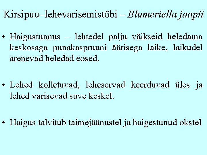 Kirsipuu–lehevarisemistõbi – Blumeriella jaapii • Haigustunnus – lehtedel palju väikseid heledama keskosaga punakaspruuni äärisega