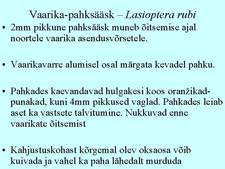 Vaarika-pahksääsk – Lasioptera rubi • 2 mm pikkune pahksääsk muneb õitsemise ajal noortele vaarika