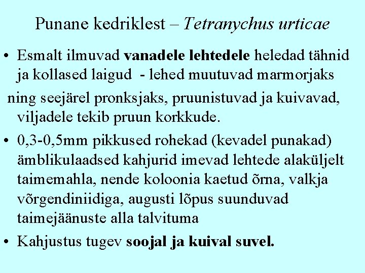 Punane kedriklest – Tetranychus urticae • Esmalt ilmuvad vanadele lehtedele heledad tähnid ja kollased