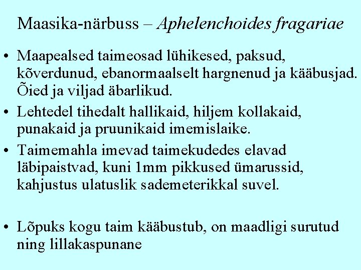 Maasika-närbuss – Aphelenchoides fragariae • Maapealsed taimeosad lühikesed, paksud, kõverdunud, ebanormaalselt hargnenud ja kääbusjad.