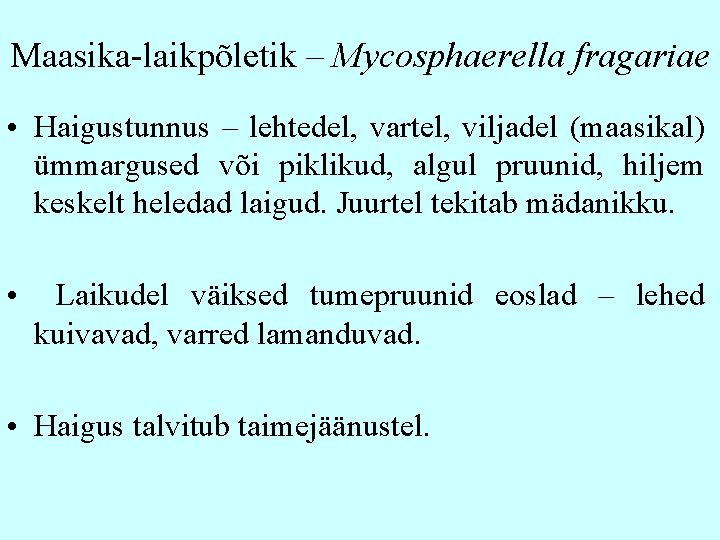 Maasika-laikpõletik – Mycosphaerella fragariae • Haigustunnus – lehtedel, vartel, viljadel (maasikal) ümmargused või piklikud,