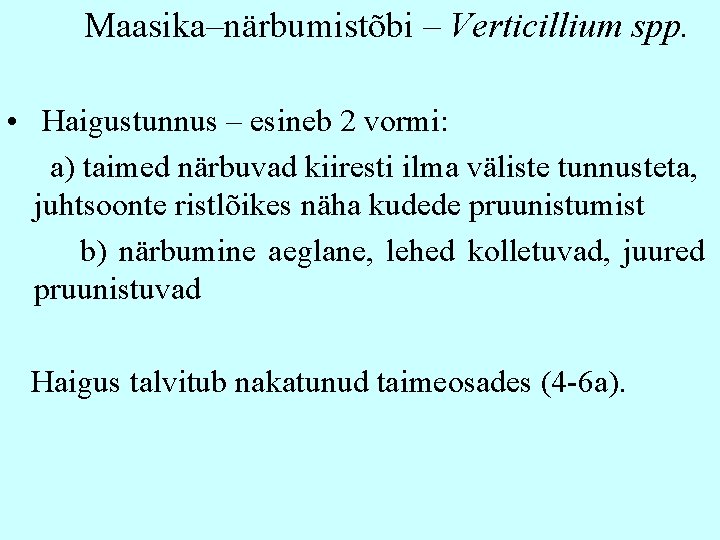 Maasika–närbumistõbi – Verticillium spp. • Haigustunnus – esineb 2 vormi: a) taimed närbuvad kiiresti