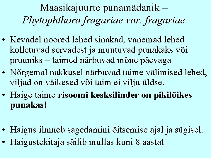 Maasikajuurte punamädanik – Phytophthora fragariae var. fragariae • Kevadel noored lehed sinakad, vanemad lehed