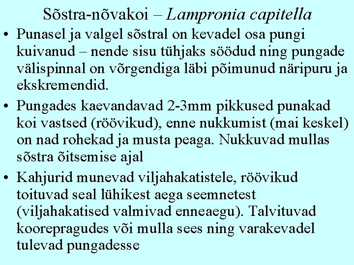 Sõstra-nõvakoi – Lampronia capitella • Punasel ja valgel sõstral on kevadel osa pungi kuivanud