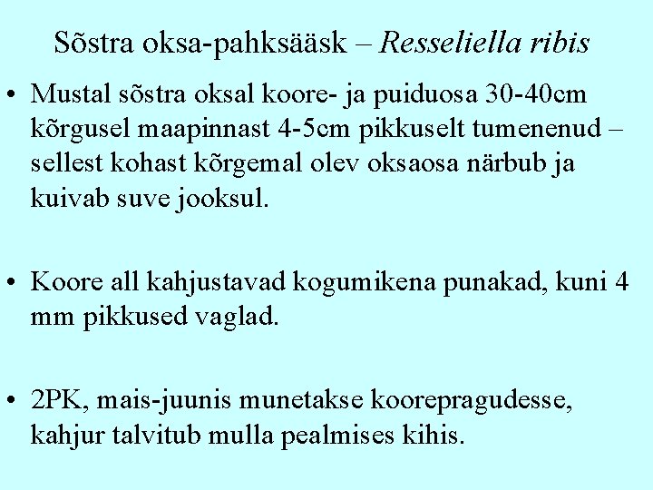 Sõstra oksa-pahksääsk – Resseliella ribis • Mustal sõstra oksal koore- ja puiduosa 30 -40