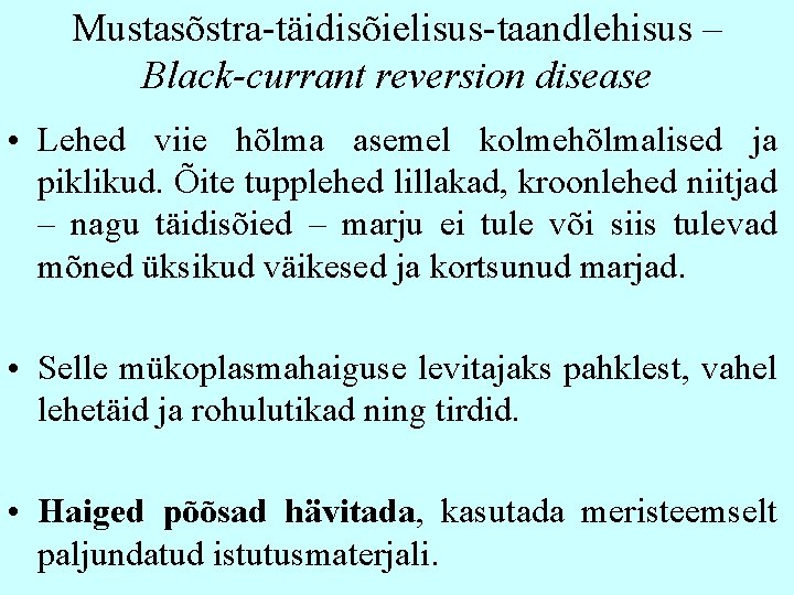 Mustasõstra-täidisõielisus-taandlehisus – Black-currant reversion disease • Lehed viie hõlma asemel kolmehõlmalised ja piklikud. Õite