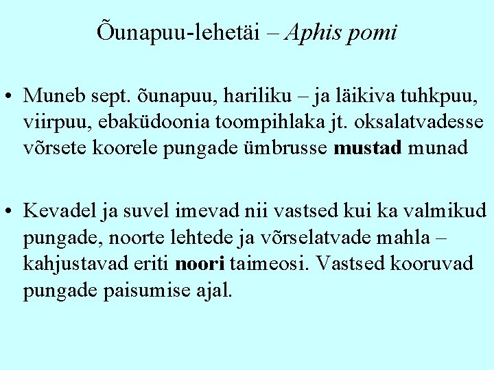 Õunapuu-lehetäi – Aphis pomi • Muneb sept. õunapuu, hariliku – ja läikiva tuhkpuu, viirpuu,