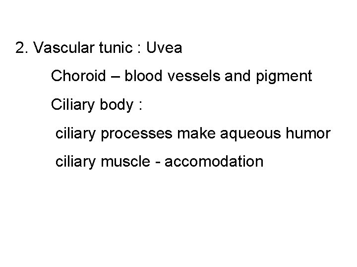 2. Vascular tunic : Uvea Choroid – blood vessels and pigment Ciliary body :