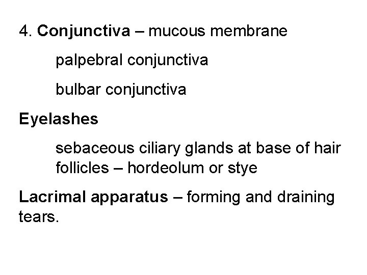 4. Conjunctiva – mucous membrane palpebral conjunctiva bulbar conjunctiva Eyelashes sebaceous ciliary glands at