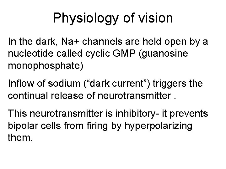 Physiology of vision In the dark, Na+ channels are held open by a nucleotide