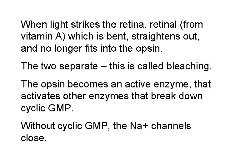 When light strikes the retina, retinal (from vitamin A) which is bent, straightens out,