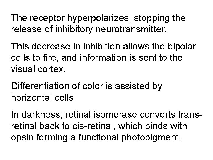 The receptor hyperpolarizes, stopping the release of inhibitory neurotransmitter. This decrease in inhibition allows