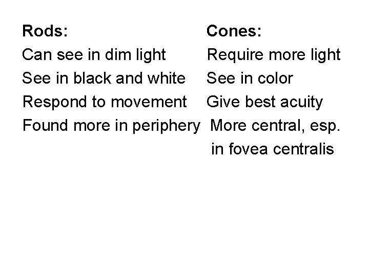 Rods: Can see in dim light See in black and white Respond to movement