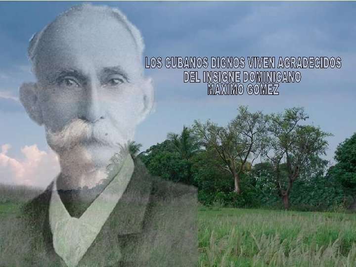 LAS PALMAS AUN SIENTEN EL AMOR POR CUBA DE MAXIMO GOMEZ 