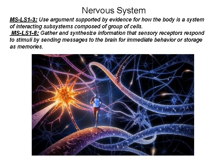 Nervous System MS-LS 1 -3: Use argument supported by evidence for how the body