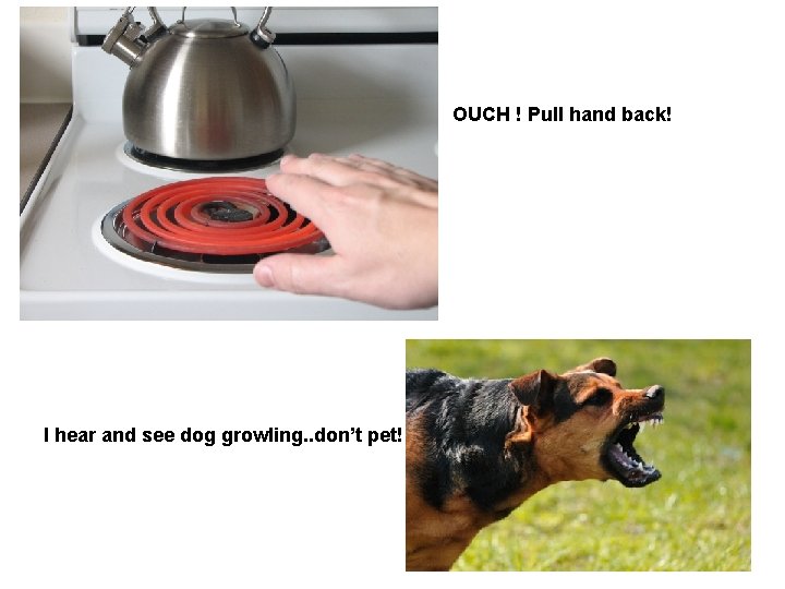 OUCH ! Pull hand back! I hear and see dog growling. . don’t pet!