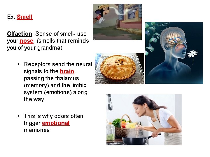Ex. Smell Olfaction: Sense of smell- use your nose (smells that reminds you of