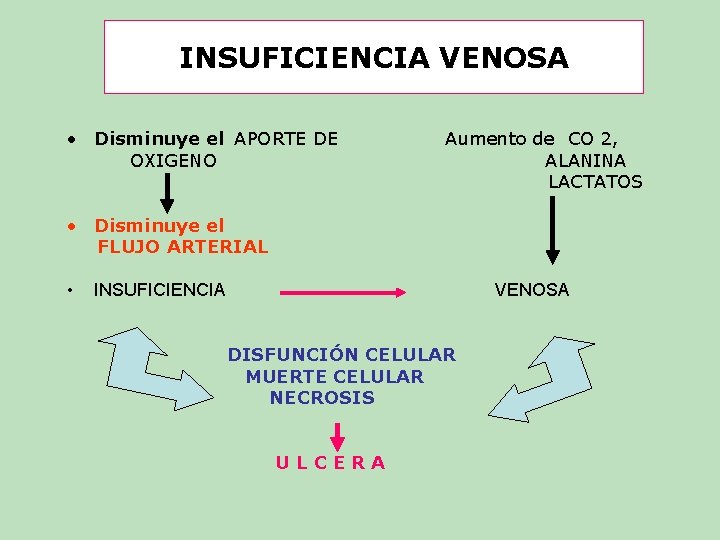 INSUFICIENCIA VENOSA • Disminuye el APORTE DE OXIGENO Aumento de CO 2, ALANINA LACTATOS INSUFICIENCIA VENOSA • Disminuye el APORTE DE OXIGENO Aumento de CO 2, ALANINA LACTATOS