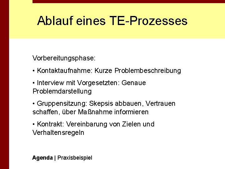 Ablauf eines TE-Prozesses Vorbereitungsphase: • Kontaktaufnahme: Kurze Problembeschreibung • Interview mit Vorgesetzten: Genaue Problemdarstellung