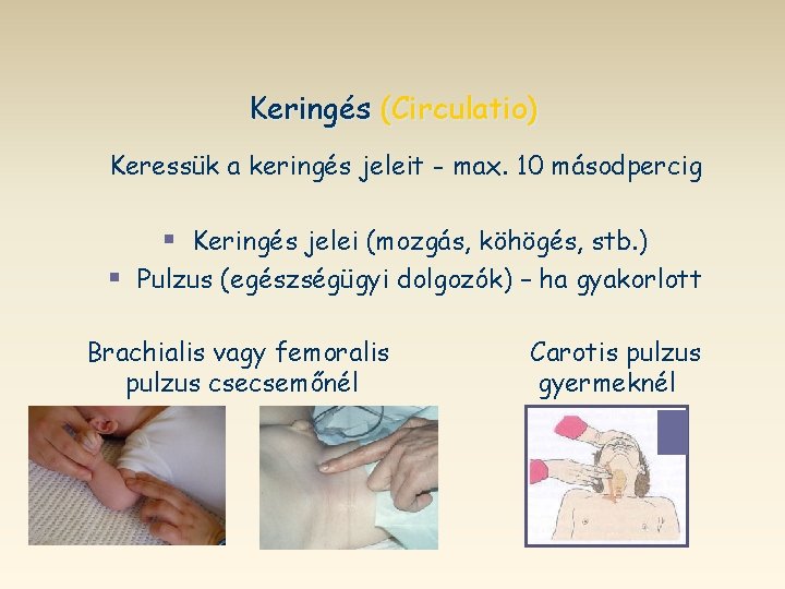Keringés (Circulatio) Keressük a keringés jeleit - max. 10 másodpercig § Keringés jelei (mozgás,