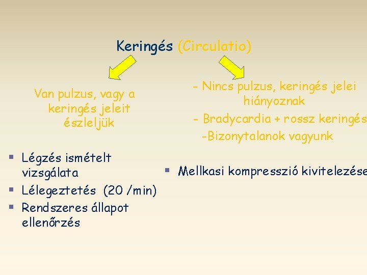 Keringés (Circulatio) Van pulzus, vagy a keringés jeleit észleljük § Légzés ismételt - Nincs