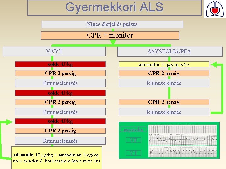 Gyermekkori ALS Nincs életjel és pulzus CPR + monitor VF/VT ASYSTOLIA/PEA sokk 4 J/kg