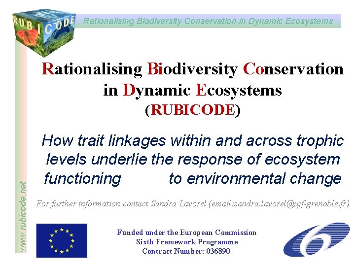 Rationalising Biodiversity Conservation in Dynamic Ecosystems www. rubicode. net (RUBICODE) How trait linkages within