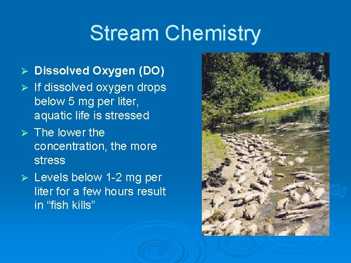 Stream Chemistry Ø Ø Dissolved Oxygen (DO) If dissolved oxygen drops below 5 mg