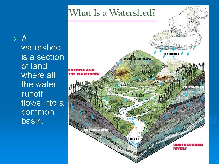 Ø A watershed is a section of land where all the water runoff flows