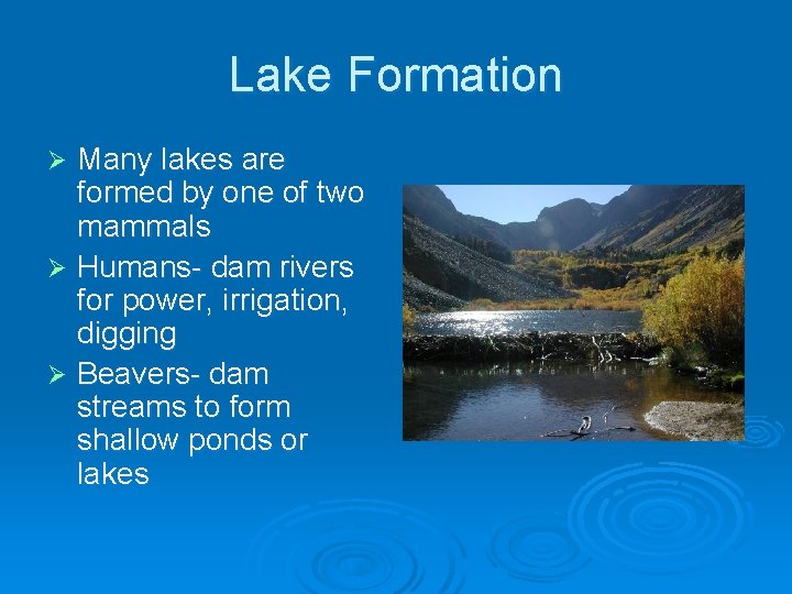 Lake Formation Many lakes are formed by one of two mammals Ø Humans- dam